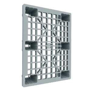 DP1